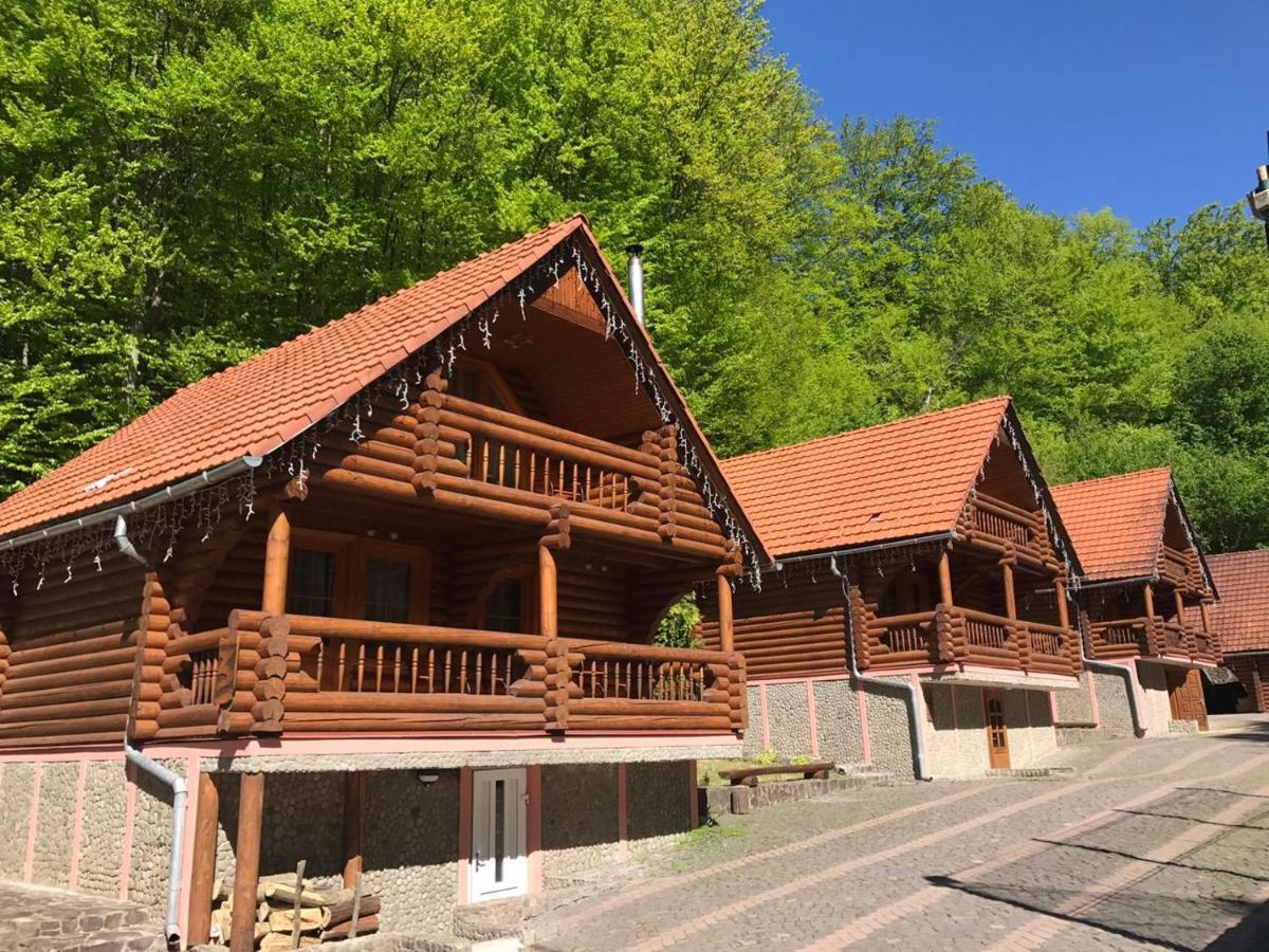 Hotel Toursit Complex Polyana Kvasova Esterno foto