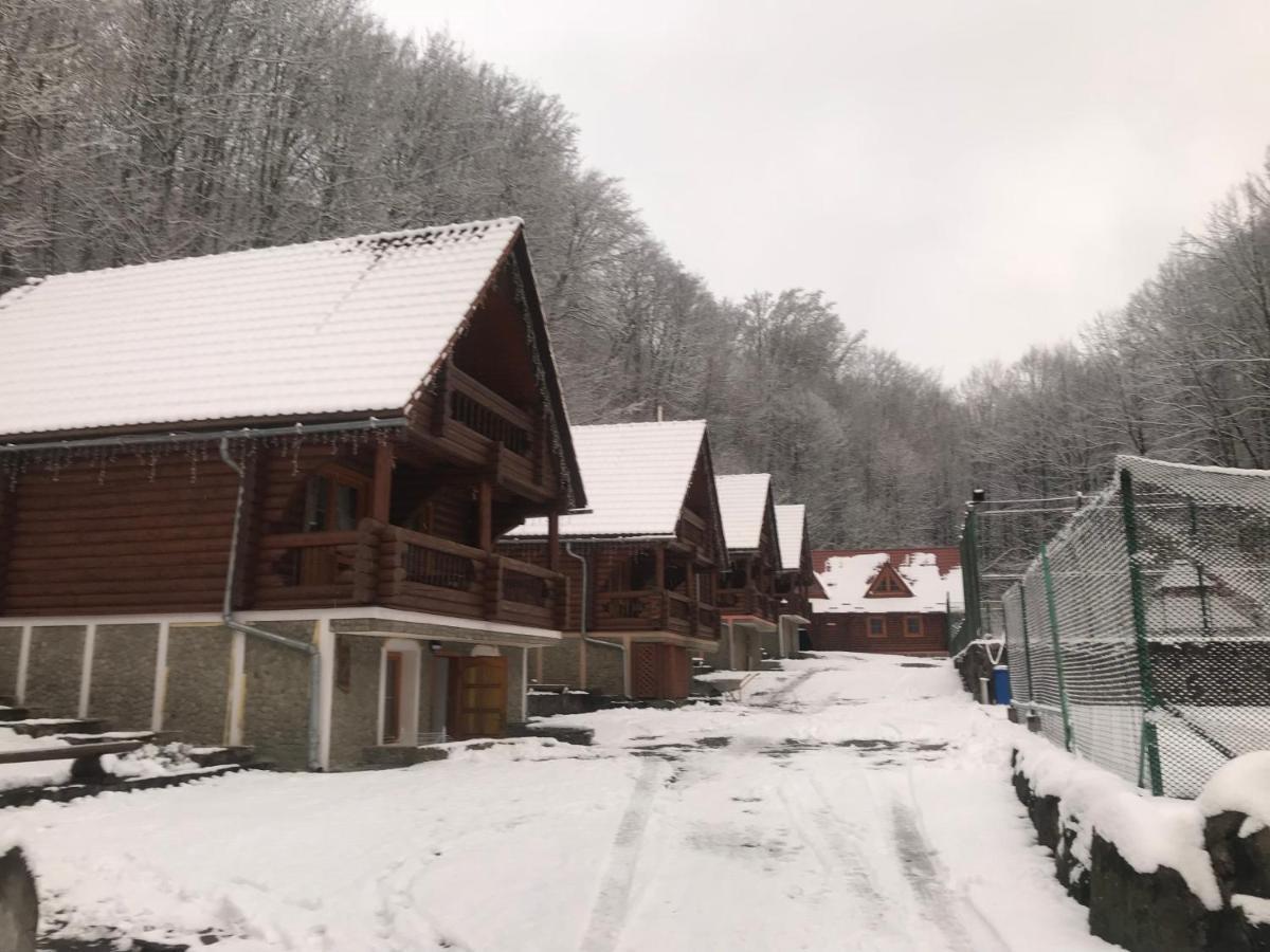 Hotel Toursit Complex Polyana Kvasova Esterno foto